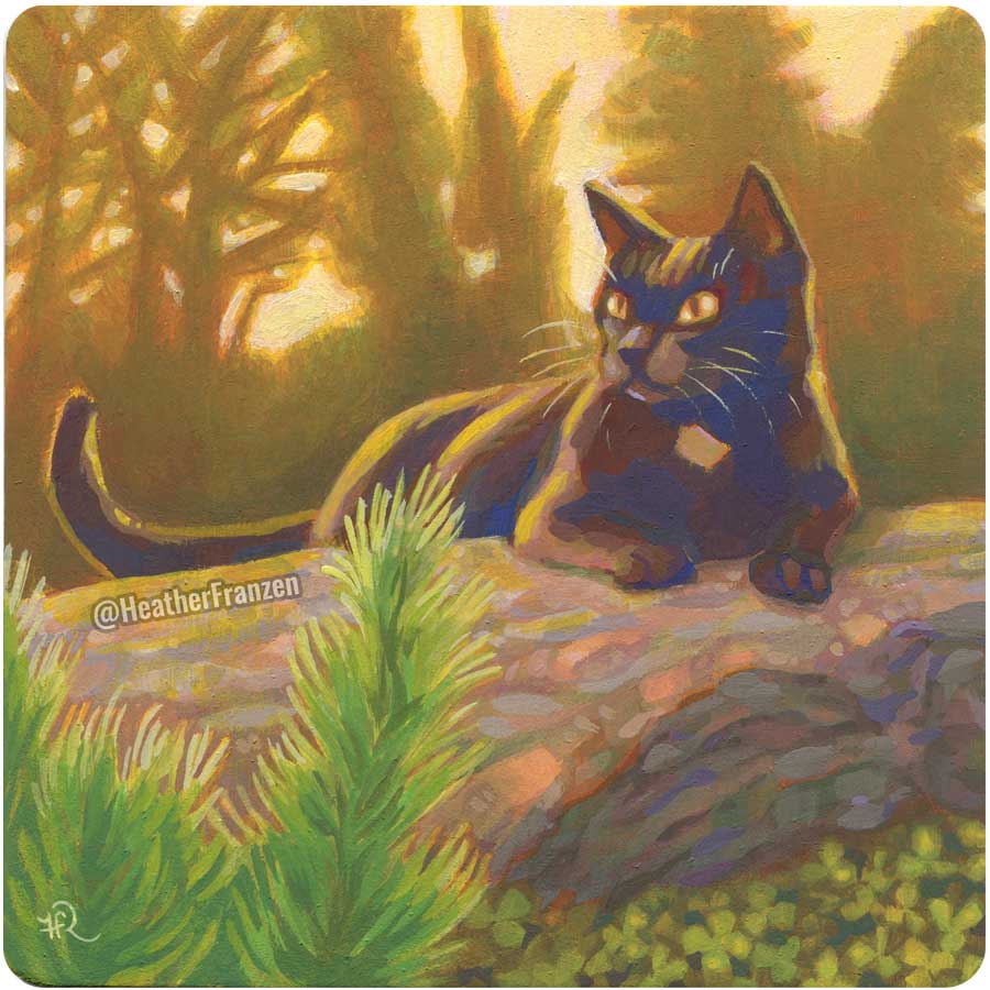 A black cat lays on a rock with clovers growing below.