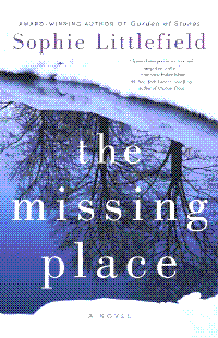 The Missing Place cover