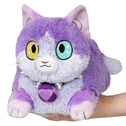 A cat with two different colored eyes wearing a spiked collar. A hand holds him up.