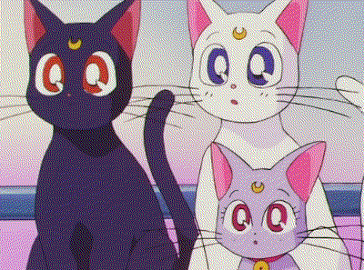 Two adult cats and their kitten daughter. They all have crescent moons on their foreheads.