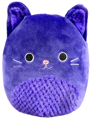 A solid colored cat with wide open eyes.