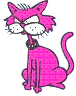 An angry-looking cat with a spiked collar.