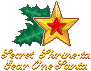 Pixel art of a star in front of holly leaves, with text underneath reading Secret Shrine-ta, Year One Santa.
