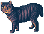 pixel art of a bobtail tabby cat